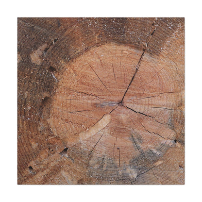 Timber Tale - Unique Frameless Canvas Wall Art - Art By Earth