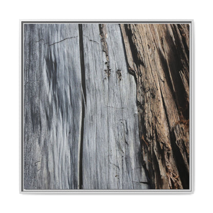 Wood's Lament - Unique Stretched Canvas Wall Art - Art By Earth