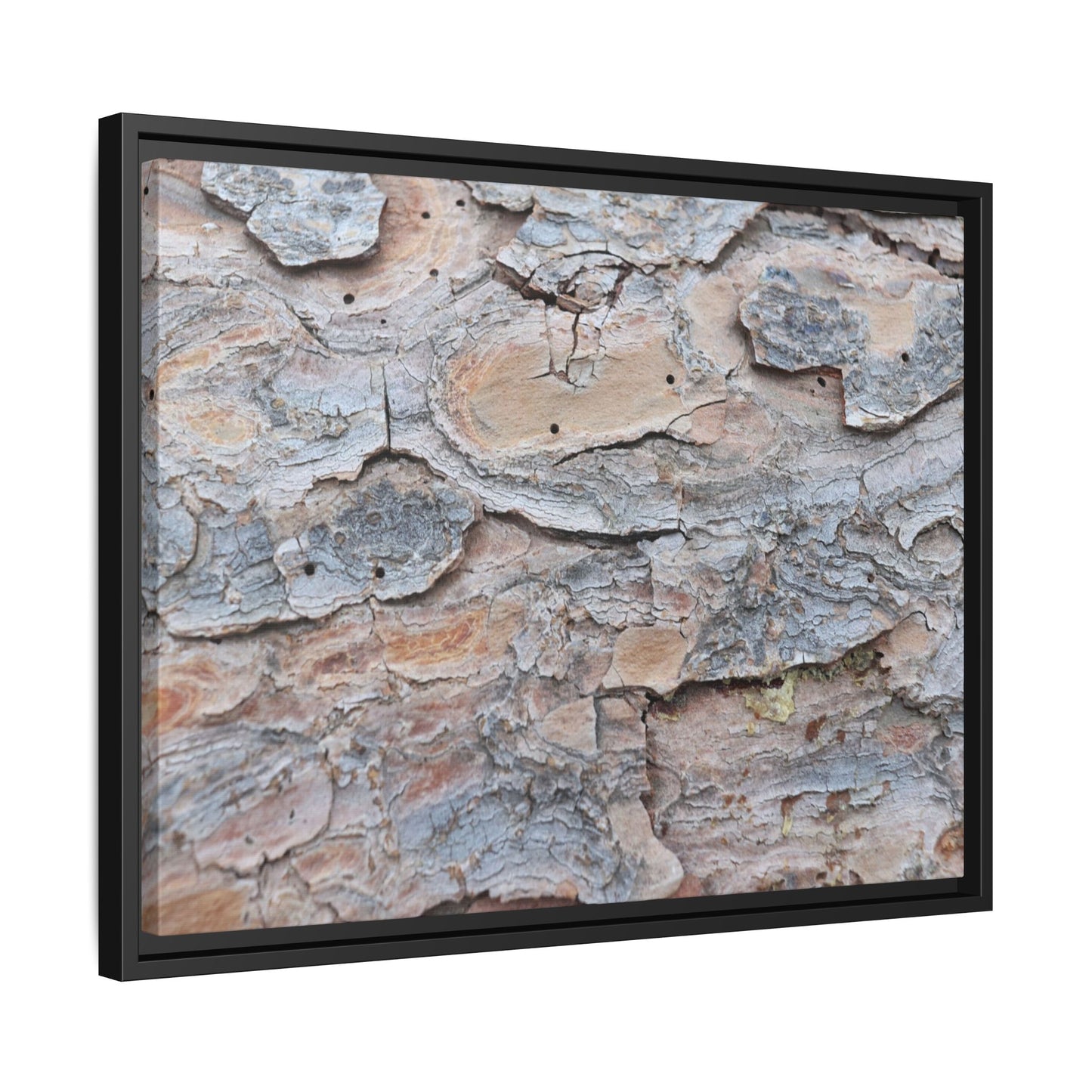 Peeling Memories - Unique Stretched Canvas Wall Art - Art By Earth