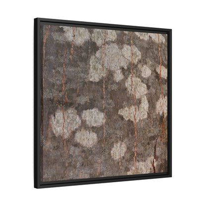 Lichen's Legacy - Unique Stretched Canvas Wall Art - Art By Earth