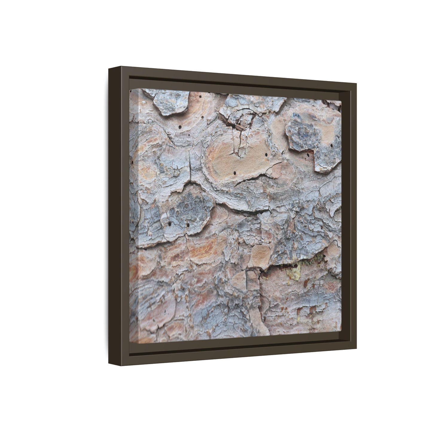 Peeling Memories - Unique Stretched Canvas Wall Art - Art By Earth