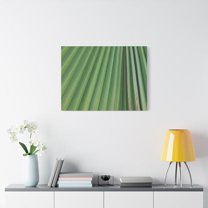 Palm Pulse - Unique Frameless Canvas Wall Art - Art By Earth