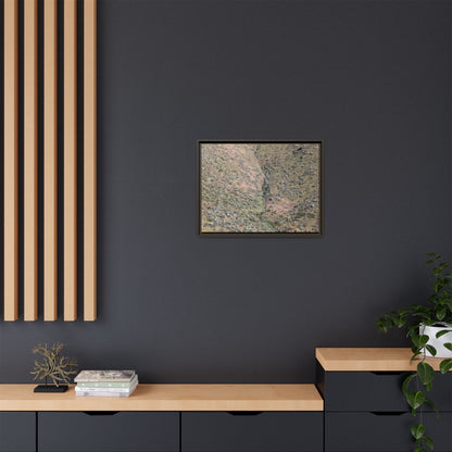 Mountain Slope with Desert Vegetation - Unique Stretched Canvas Wall Art - Art By Earth