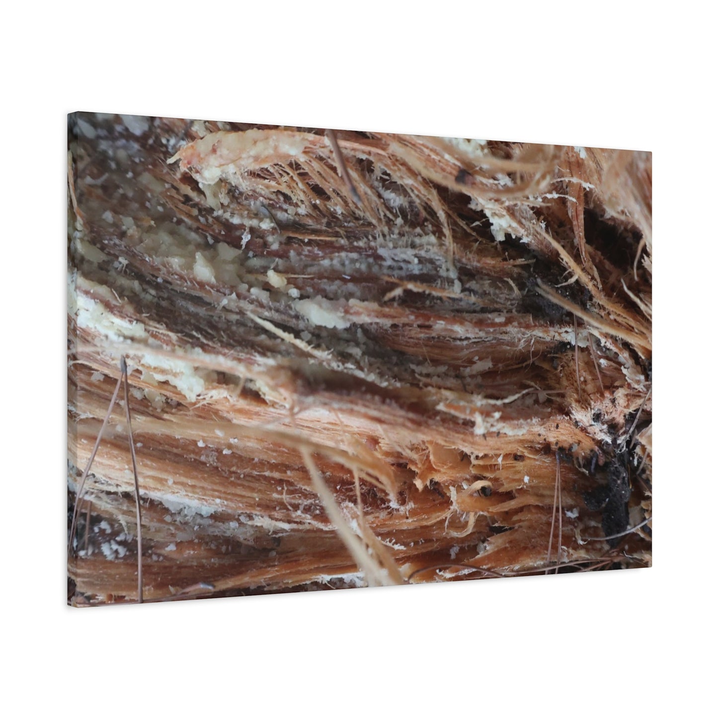 Decaying Whispers - Unique Frameless Canvas Wall Art - Art By Earth