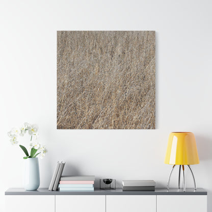 Silent Prairie - Unique Frameless Canvas Wall Art - Art By Earth