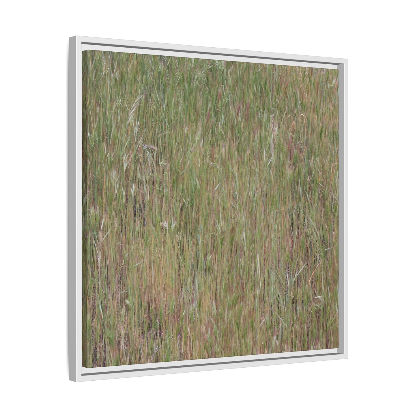 Field of Dreams - Unique Stretched Canvas Wall Art - Art By Earth