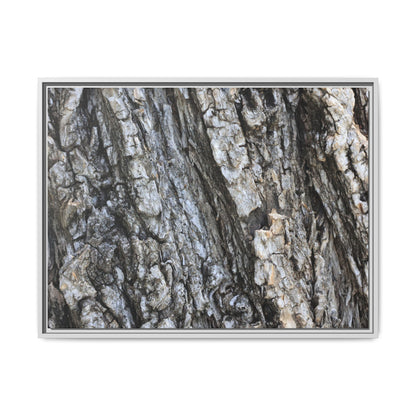 Twisted Textures - Unique Stretched Canvas Wall Art - Art By Earth