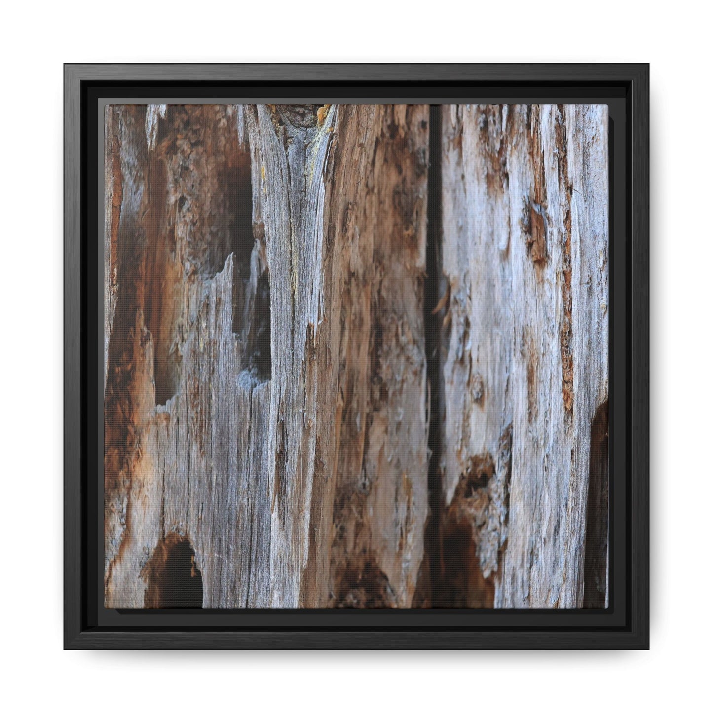 Decaying Splendor - Unique Stretched Canvas Wall Art - Art By Earth