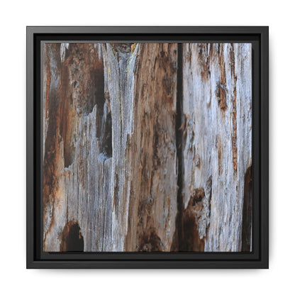 Decaying Splendor - Unique Stretched Canvas Wall Art - Art By Earth