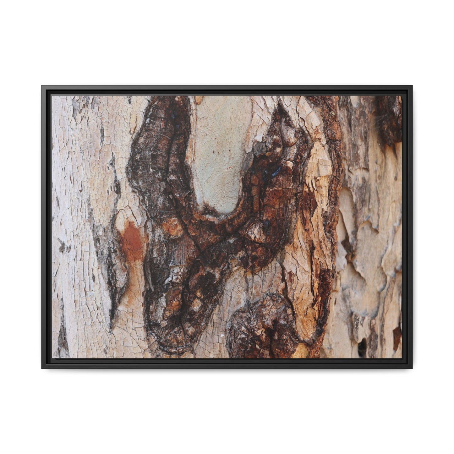 Texture of Time - Unique Stretched Canvas Wall Art - Art By Earth