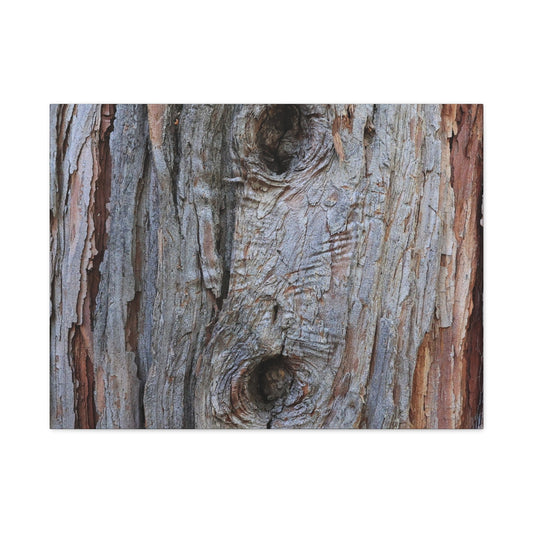 Wooden Memoir - Unique Frameless Canvas Wall Art - Art By Earth