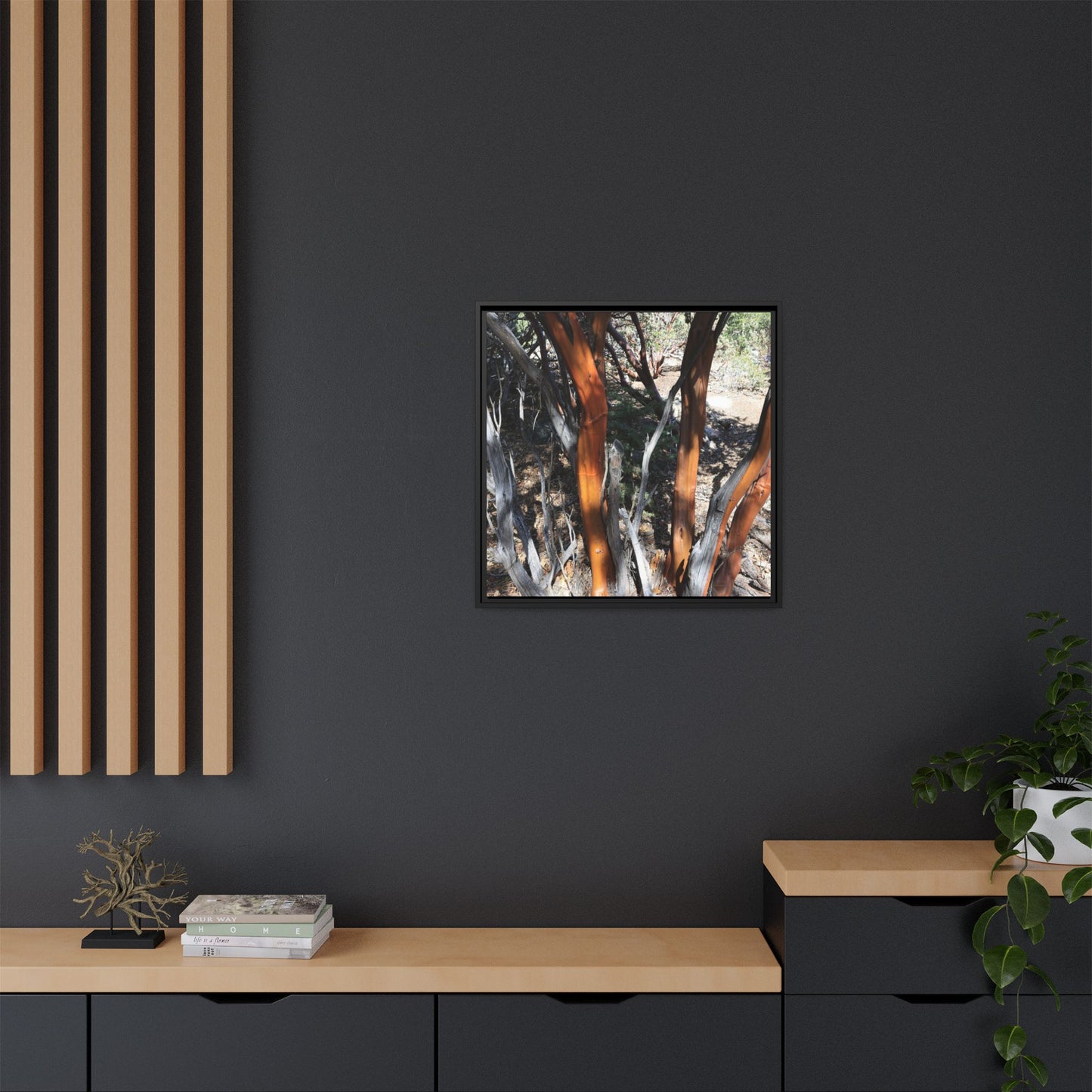 Eucalyptus Grove - Unique Stretched Canvas Wall Art