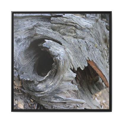 Bark's Labyrinth - Unique Stretched Canvas Wall Art - Art By Earth