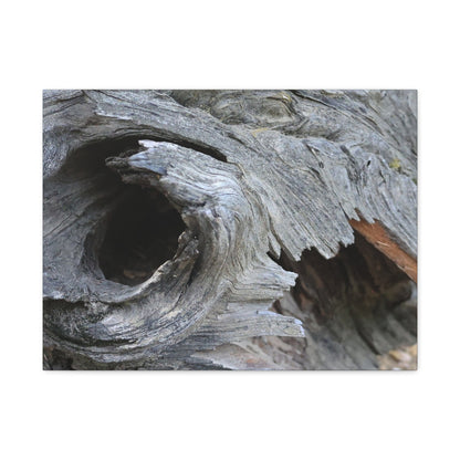 Twisted Whispers of the Forest Floor - Unique Frameless Canvas Wall Art - Art By Earth