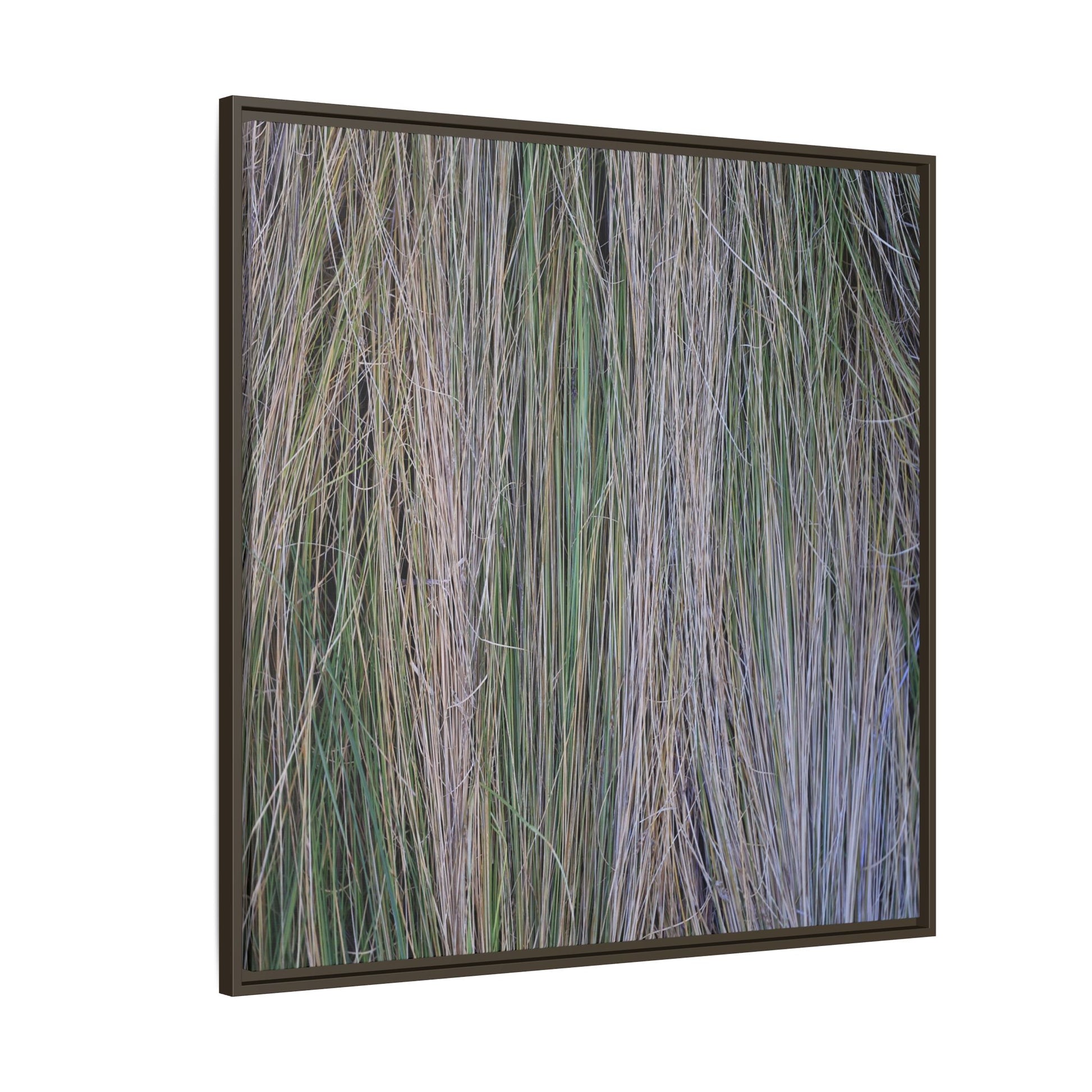 Whispers of Silver Grass - Unique Stretched Canvas Wall Art - Art By Earth