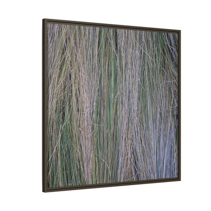 Whispers of Silver Grass - Unique Stretched Canvas Wall Art - Art By Earth