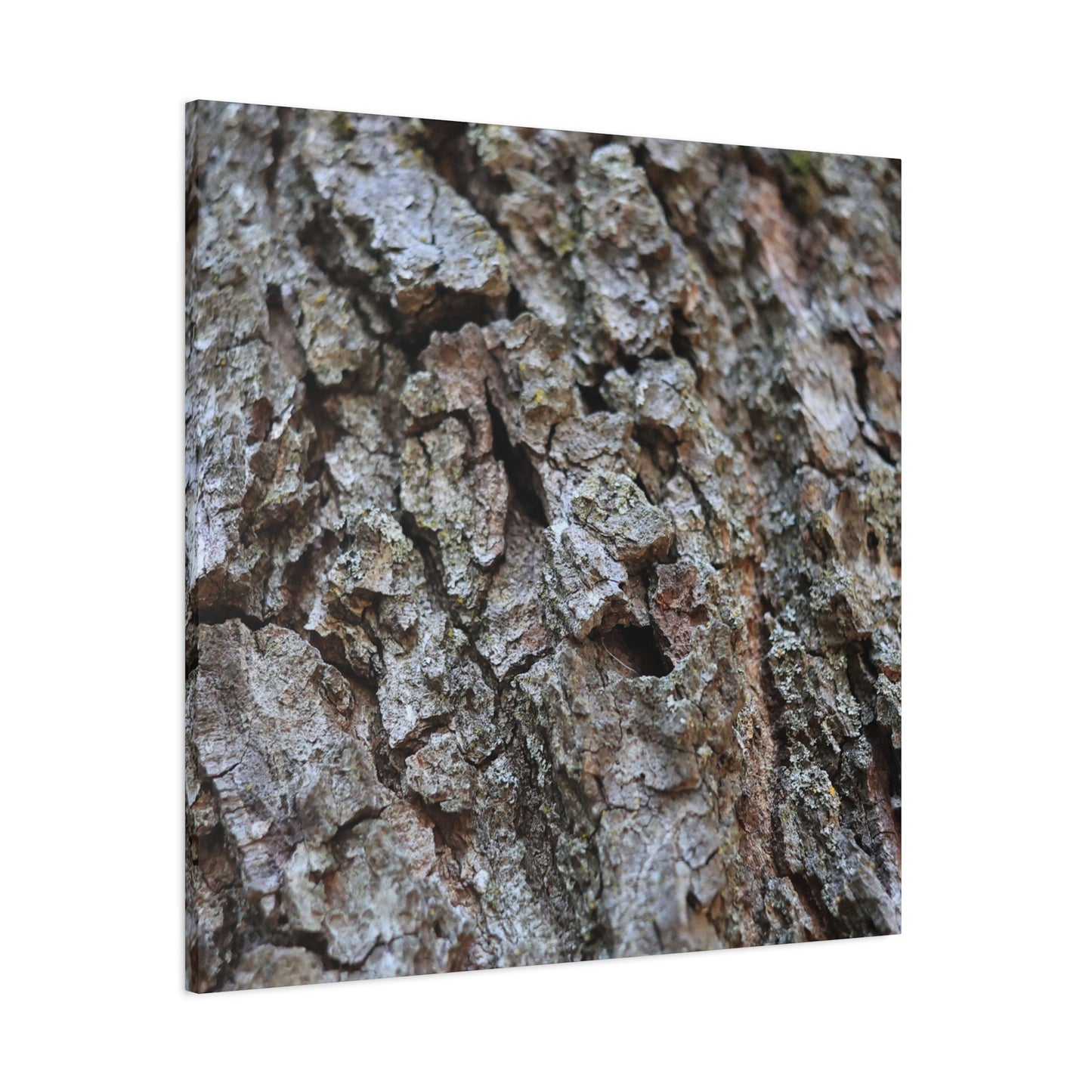 Cracked Echoes - Unique Frameless Canvas Wall Art - Art By Earth