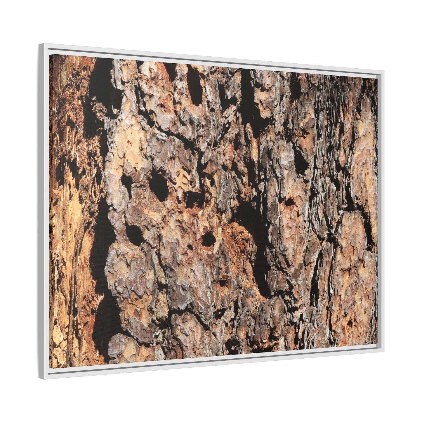 Rugged Rhythms - Unique Stretched Canvas Wall Art - Art By Earth