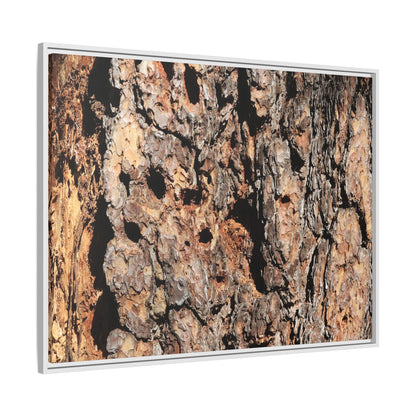 Rugged Rhythms - Unique Stretched Canvas Wall Art - Art By Earth