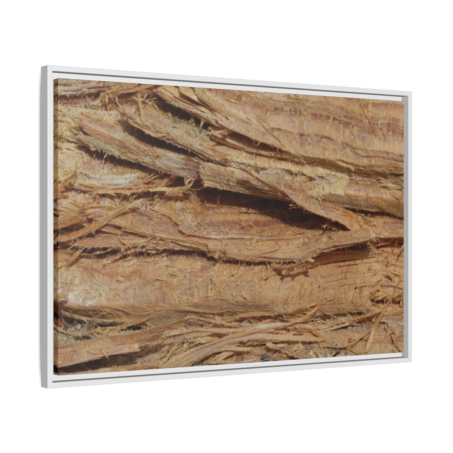 Splintered Bark - Unique Stretched Canvas Wall Art - Art By Earth