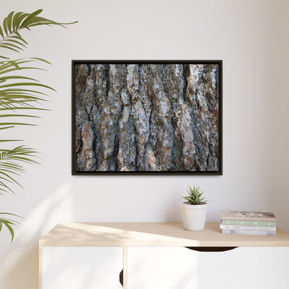 Bark Whispers - Unique Stretched Canvas Wall Art - Art By Earth