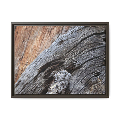 Time's Mark on Timber - Unique Stretched Canvas Wall Art - Art By Earth