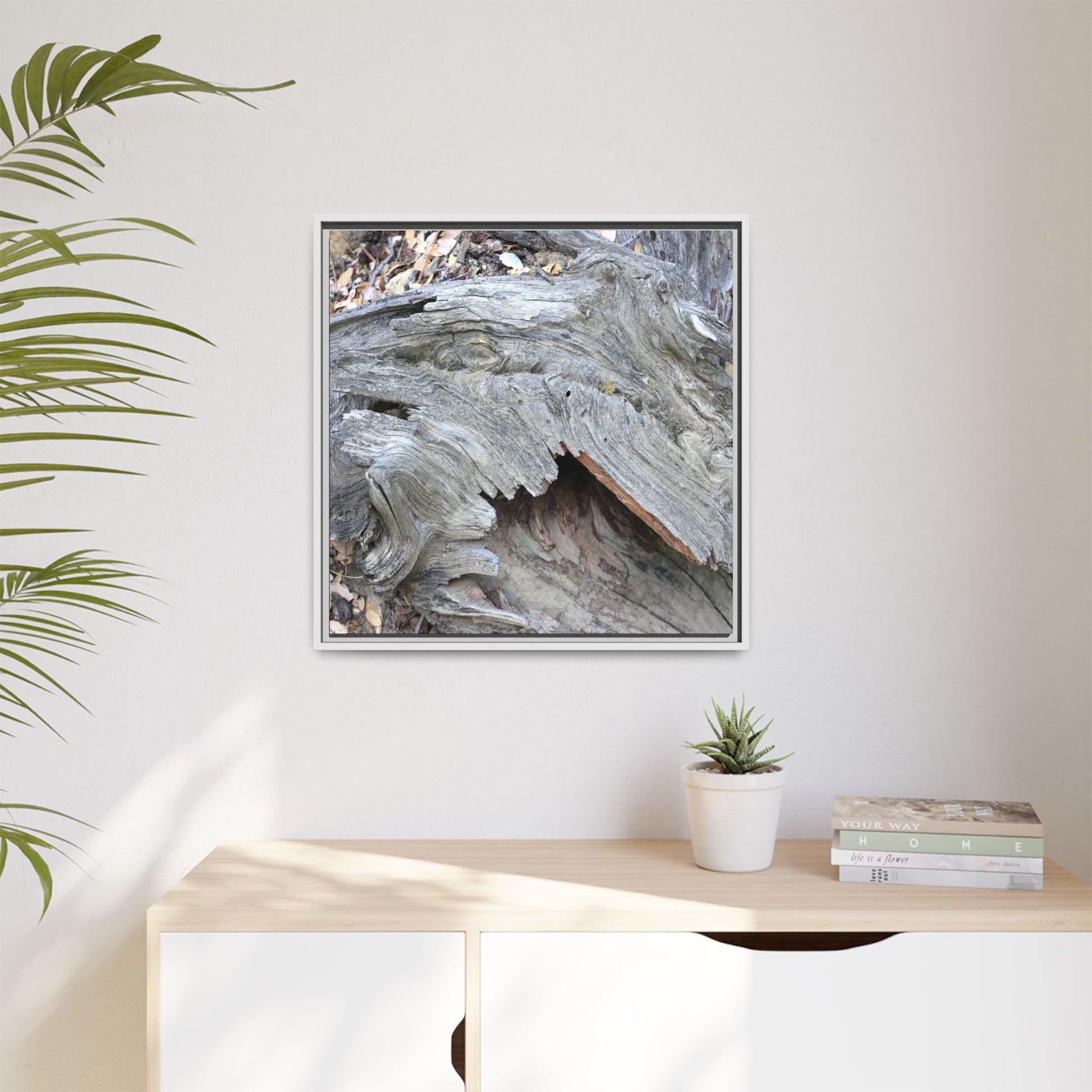 Driftwood Dreams - Unique Stretched Canvas Wall Art - Art By Earth