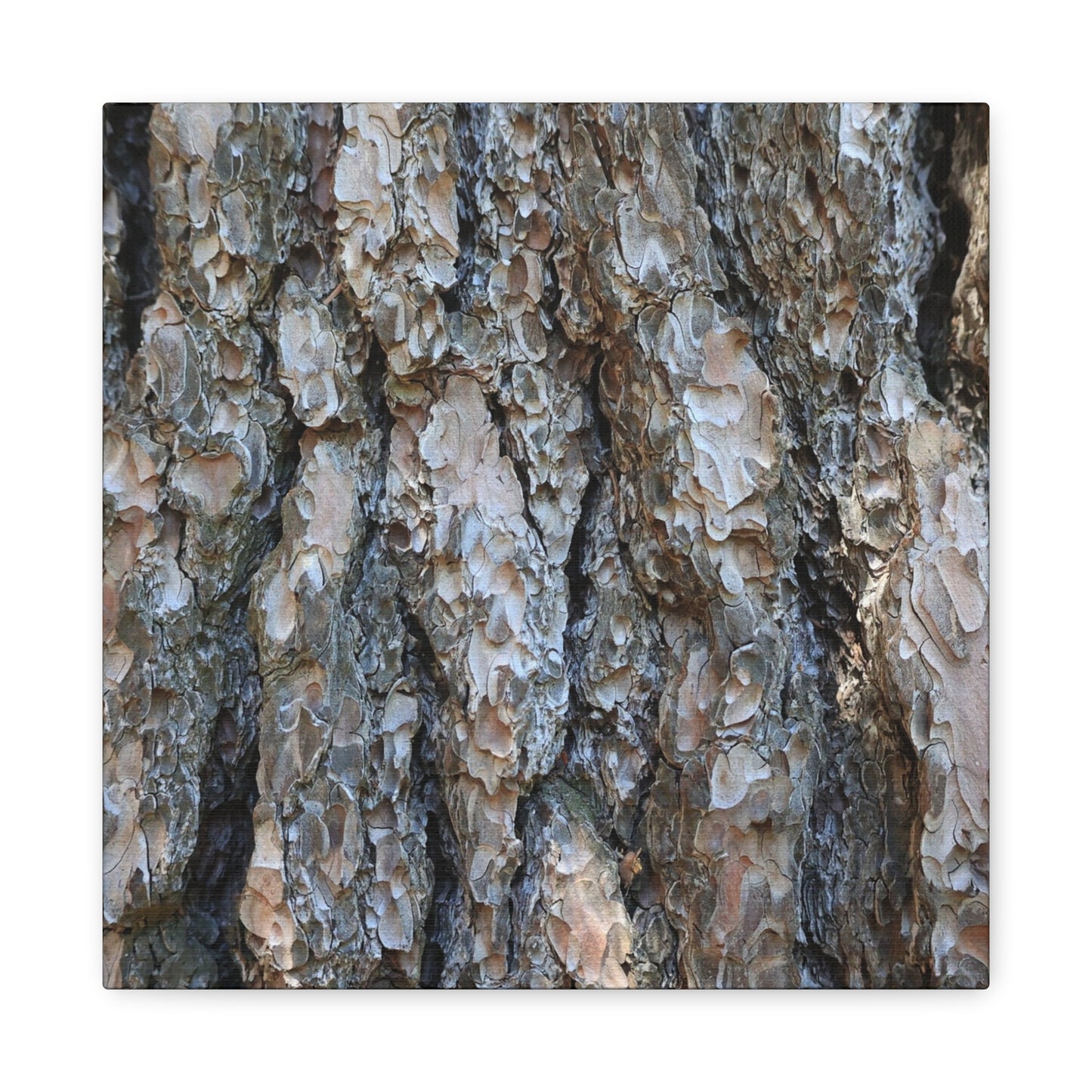 Elemental Tapestry - Unique Frameless Canvas Wall Art - Art By Earth