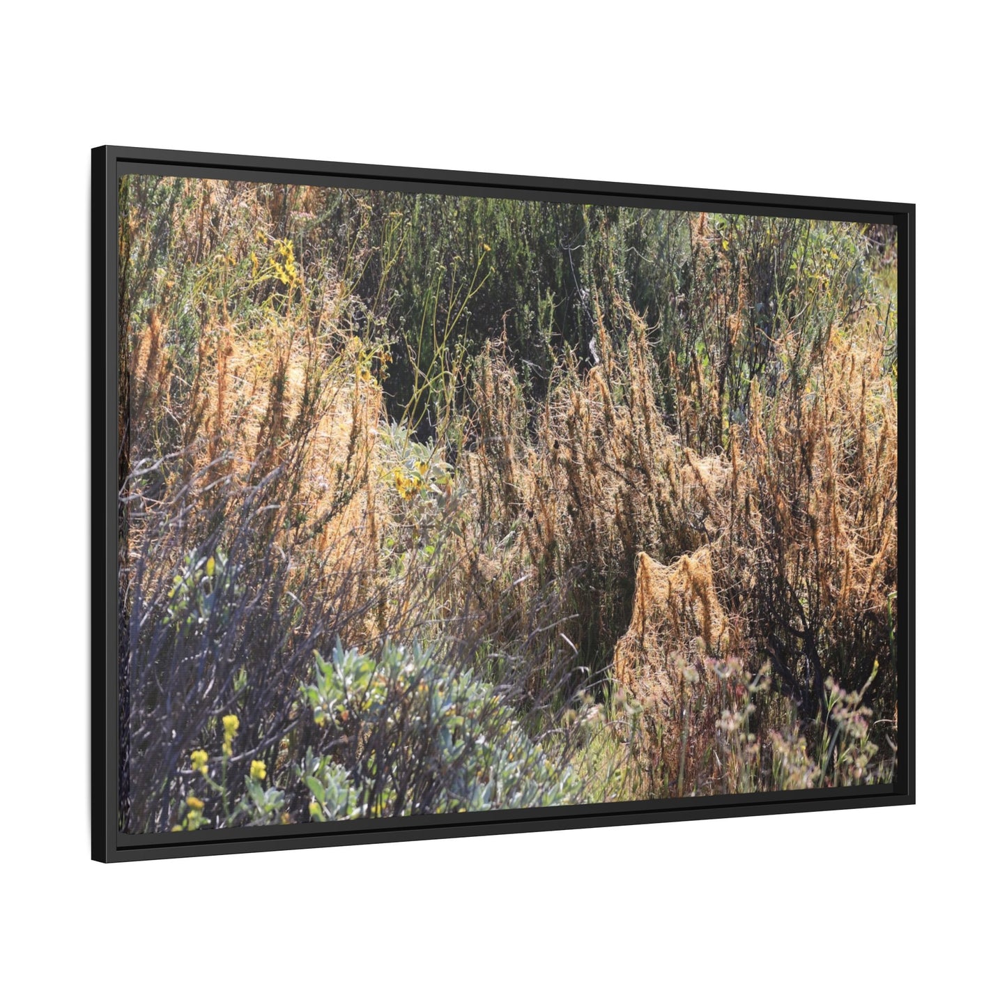 Drought-Stricken Landscape - Unique Stretched Canvas Wall Art - Art By Earth