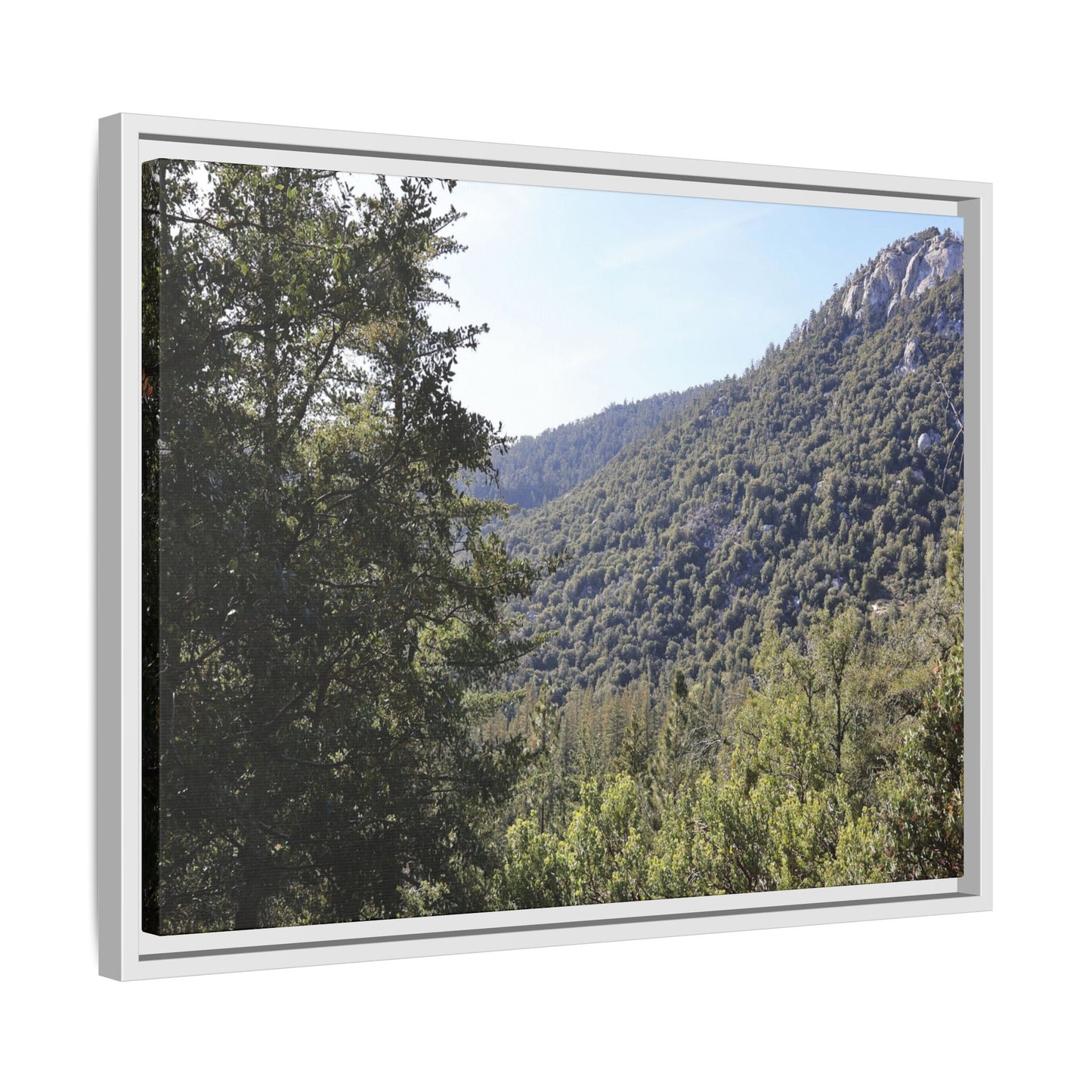 Mountain Valley Forest - Unique Stretched Canvas Wall Art