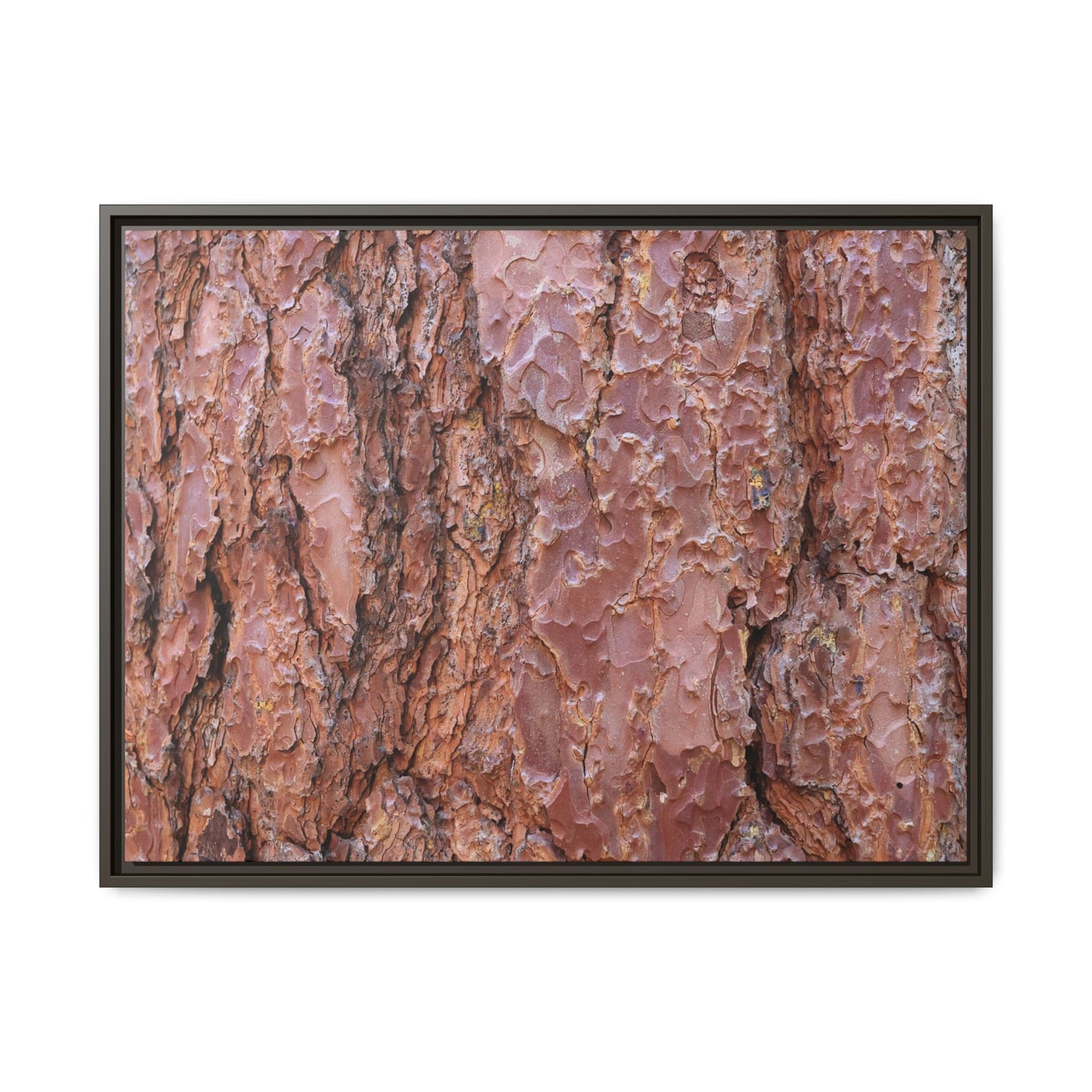 Russet Ridges - Unique Stretched Canvas Wall Art - Art By Earth