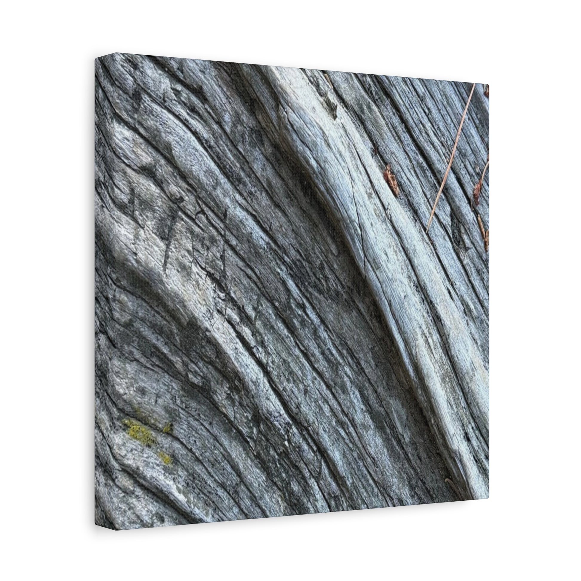 Aged Surface - Unique Frameless Canvas Wall Art - Art By Earth