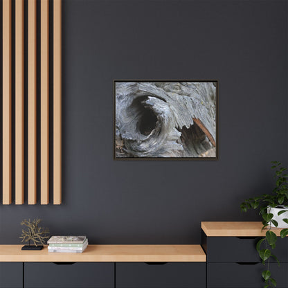 Bark's Labyrinth - Unique Stretched Canvas Wall Art - Art By Earth