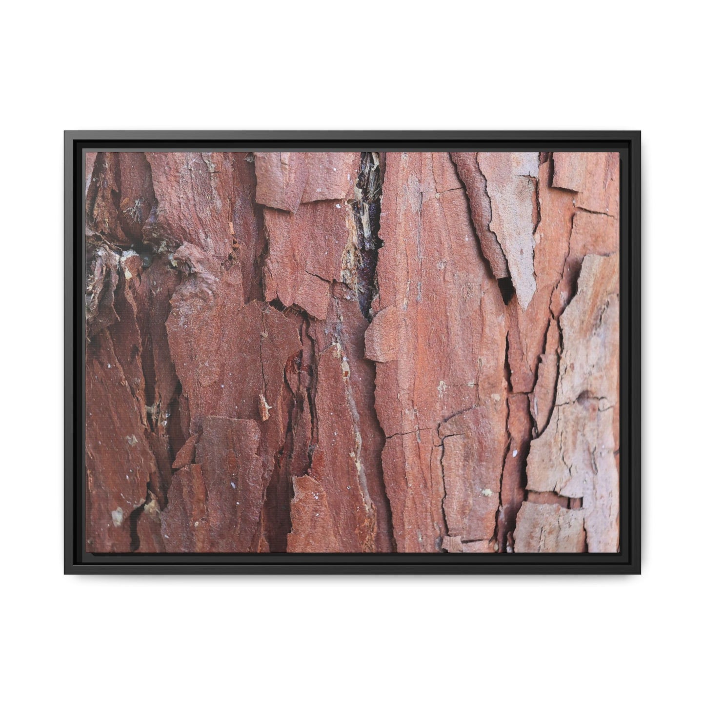 Rusted Memories - Unique Stretched Canvas Wall Art - Art By Earth