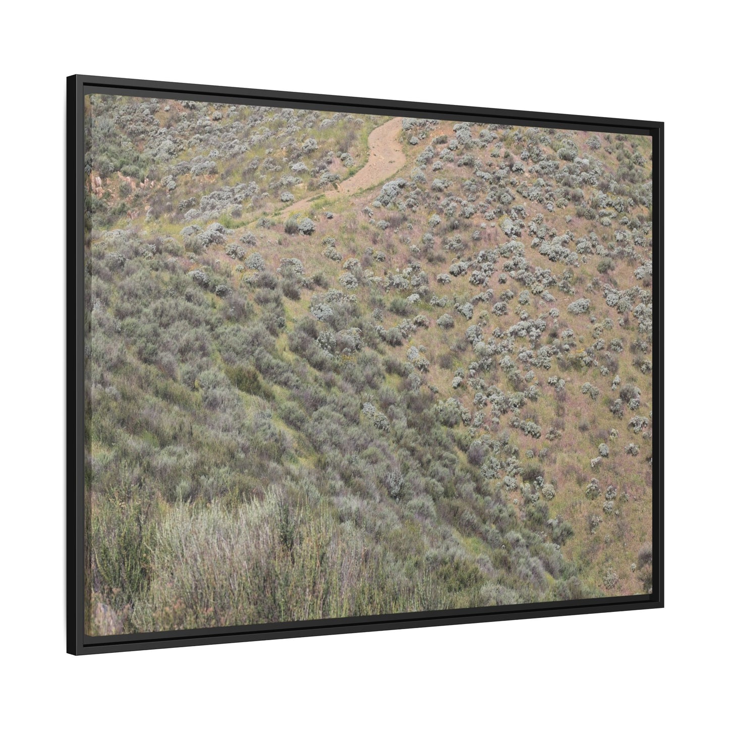 Arid Landscape with Winding Path - Unique Stretched Canvas Wall Art - Art By Earth