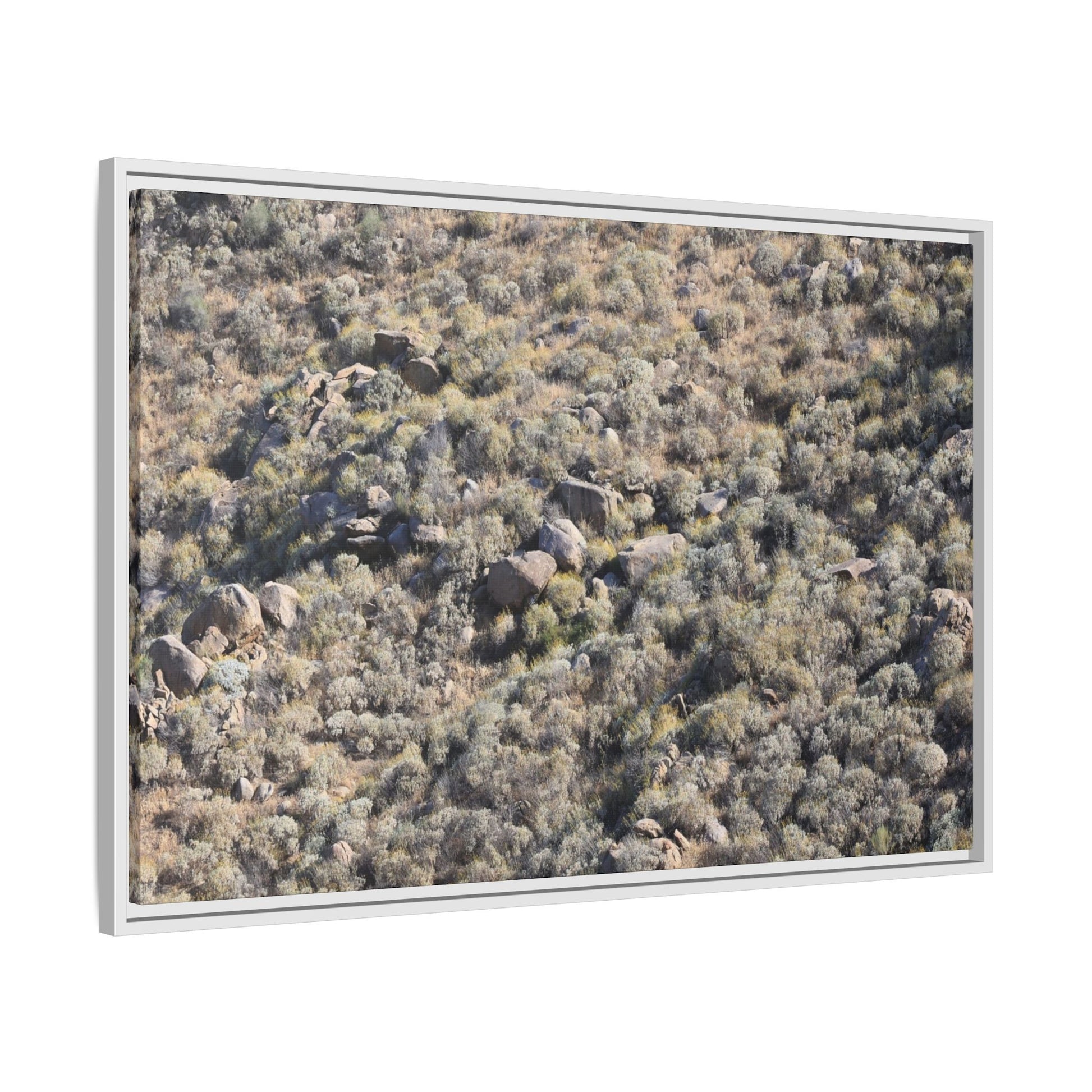 Arid Terrain Study - Unique Stretched Canvas Wall Art - Art By Earth