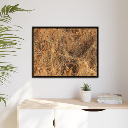 Dried Vegetation Study - Unique Stretched Canvas Wall Art - Art By Earth