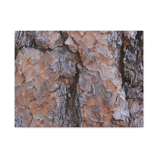 Arboreal Armor - Unique Frameless Canvas Wall Art - Art By Earth