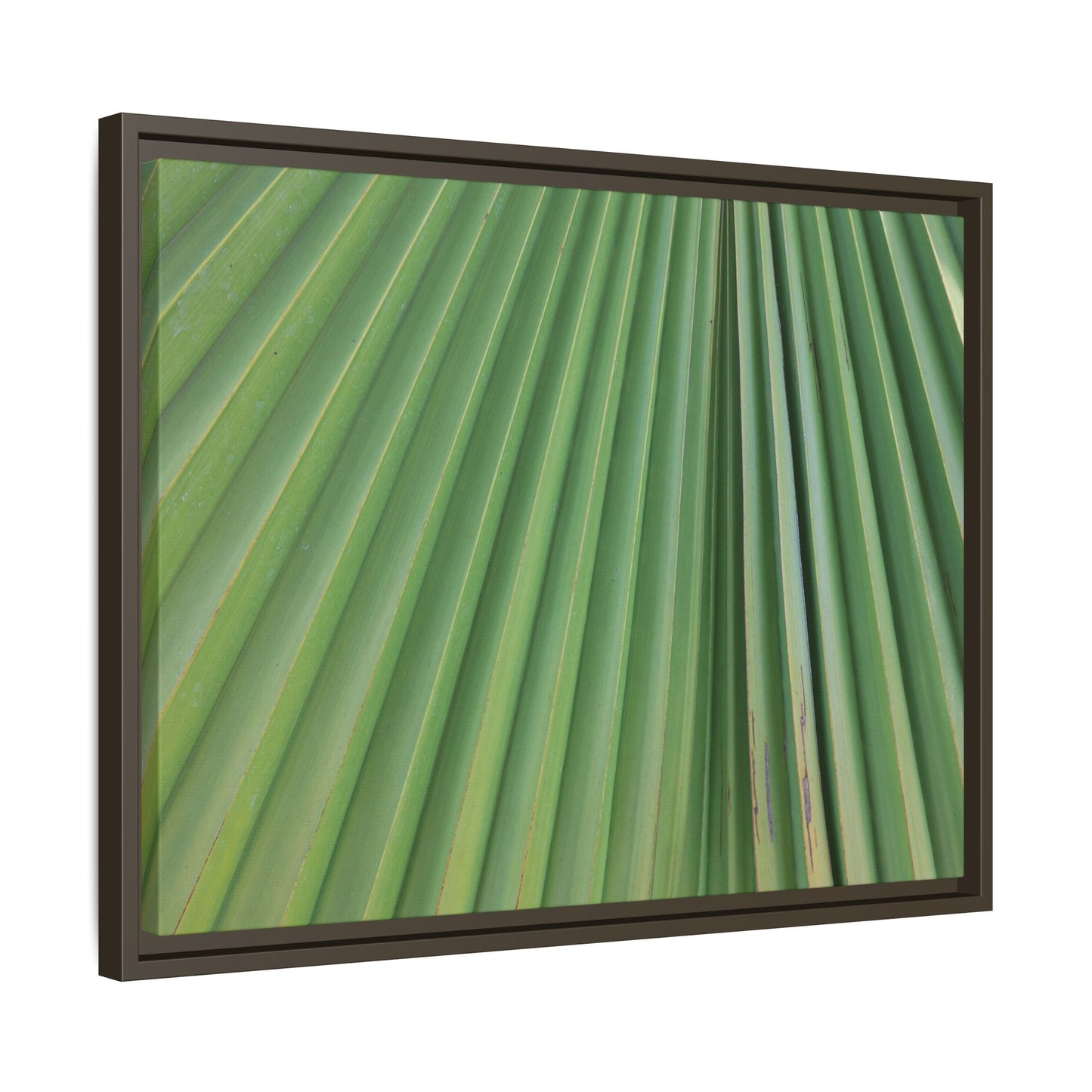 Emerald Rays - Unique Stretched Canvas Wall Art - Art By Earth