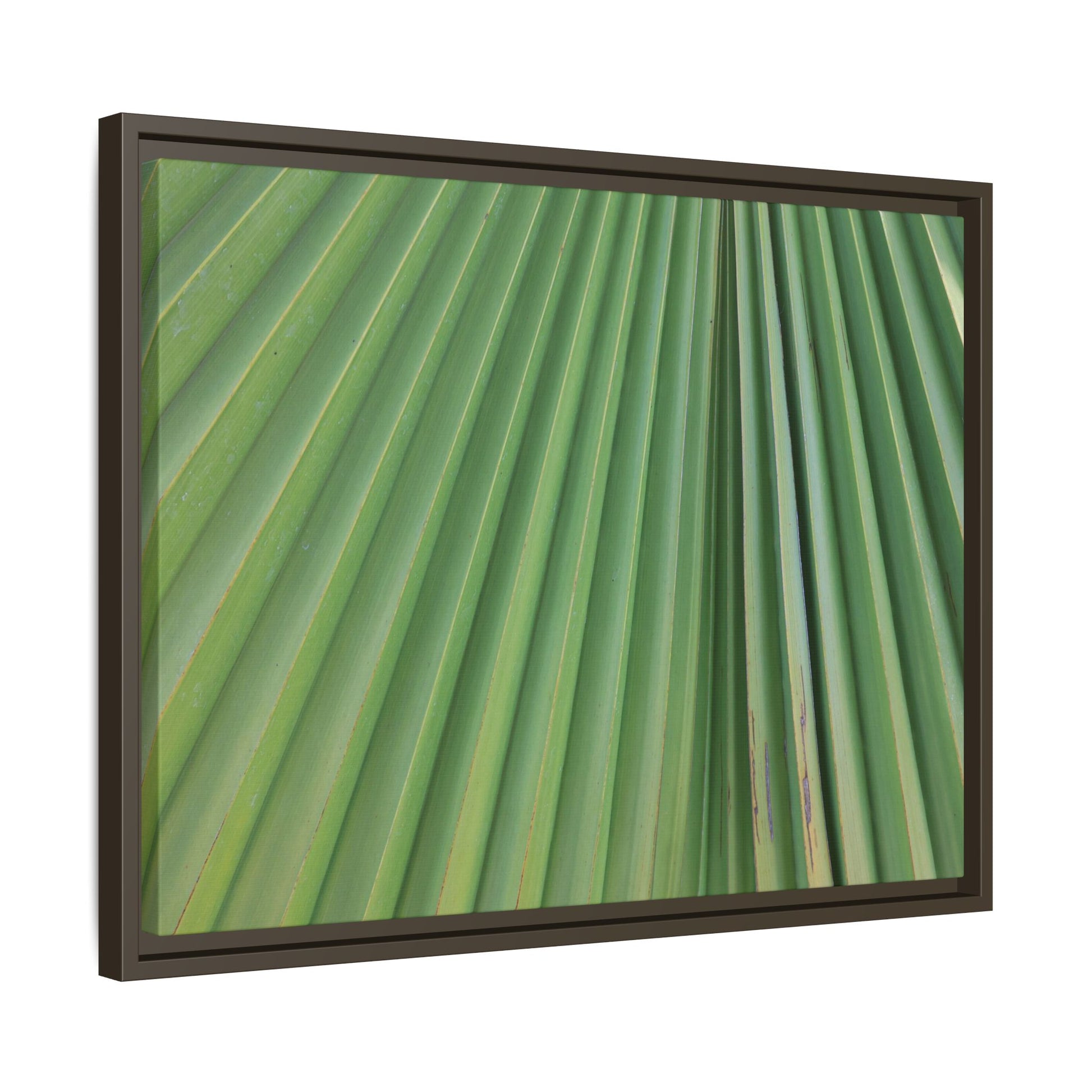 Emerald Rays - Unique Stretched Canvas Wall Art - Art By Earth