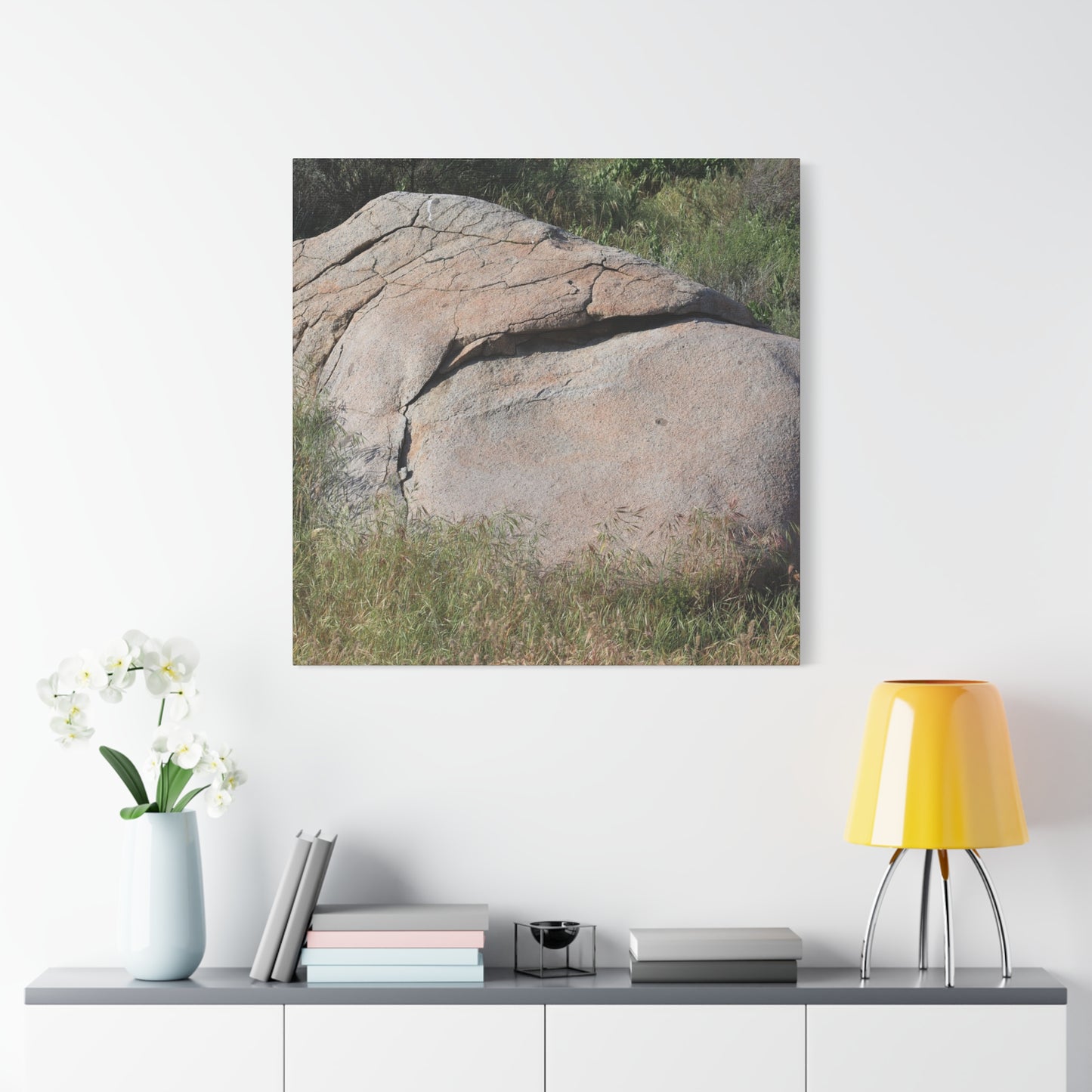 Granite Boulder in Desert Scrub - Unique Frameless Canvas Wall Art - Art By Earth