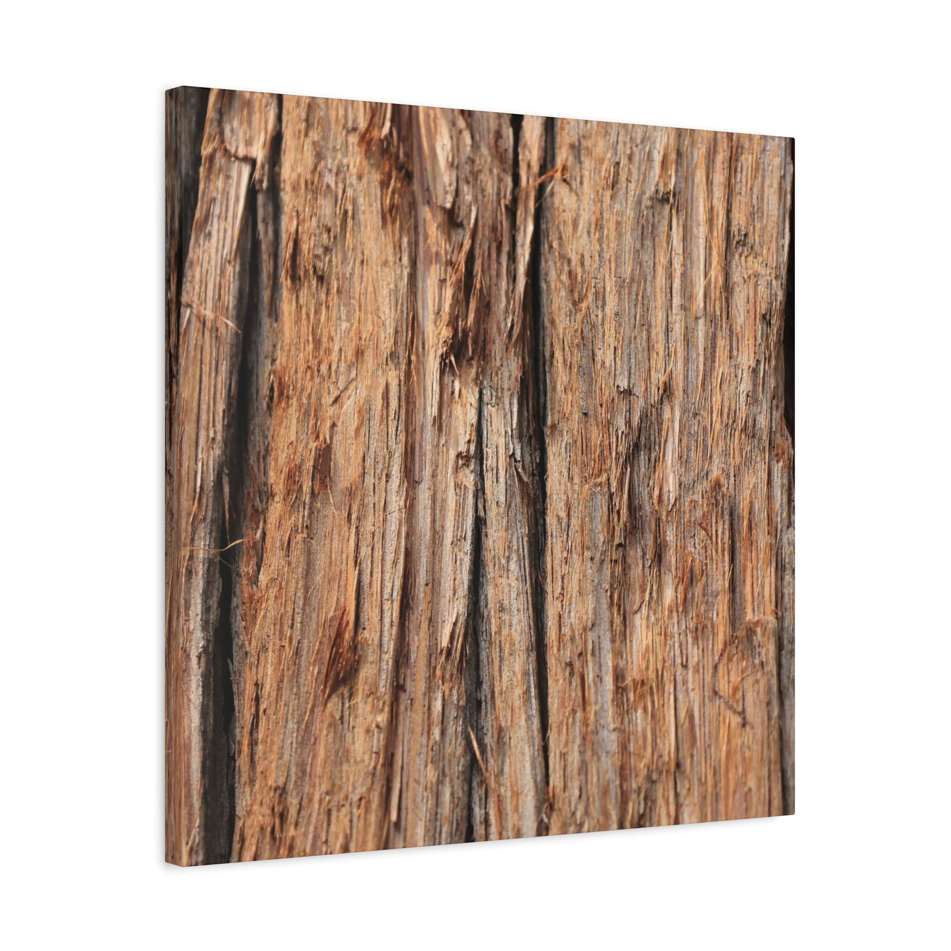 Woodland Echoes - Unique Frameless Canvas Wall Art - Art By Earth