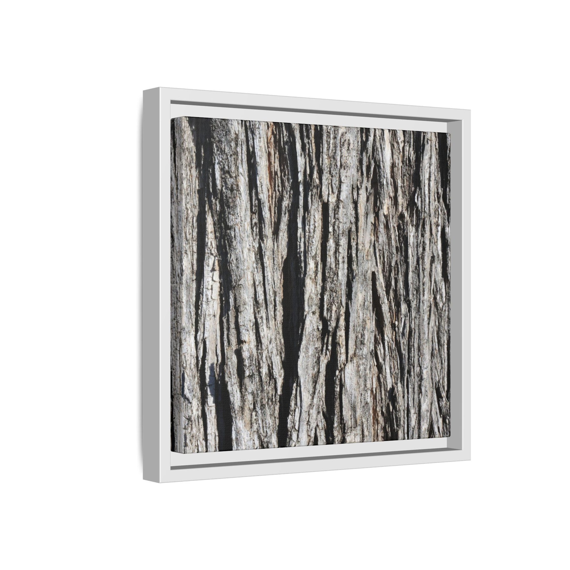 Bark Lines - Unique Stretched Canvas Wall Art - Art By Earth
