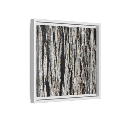 Bark Lines - Unique Stretched Canvas Wall Art - Art By Earth