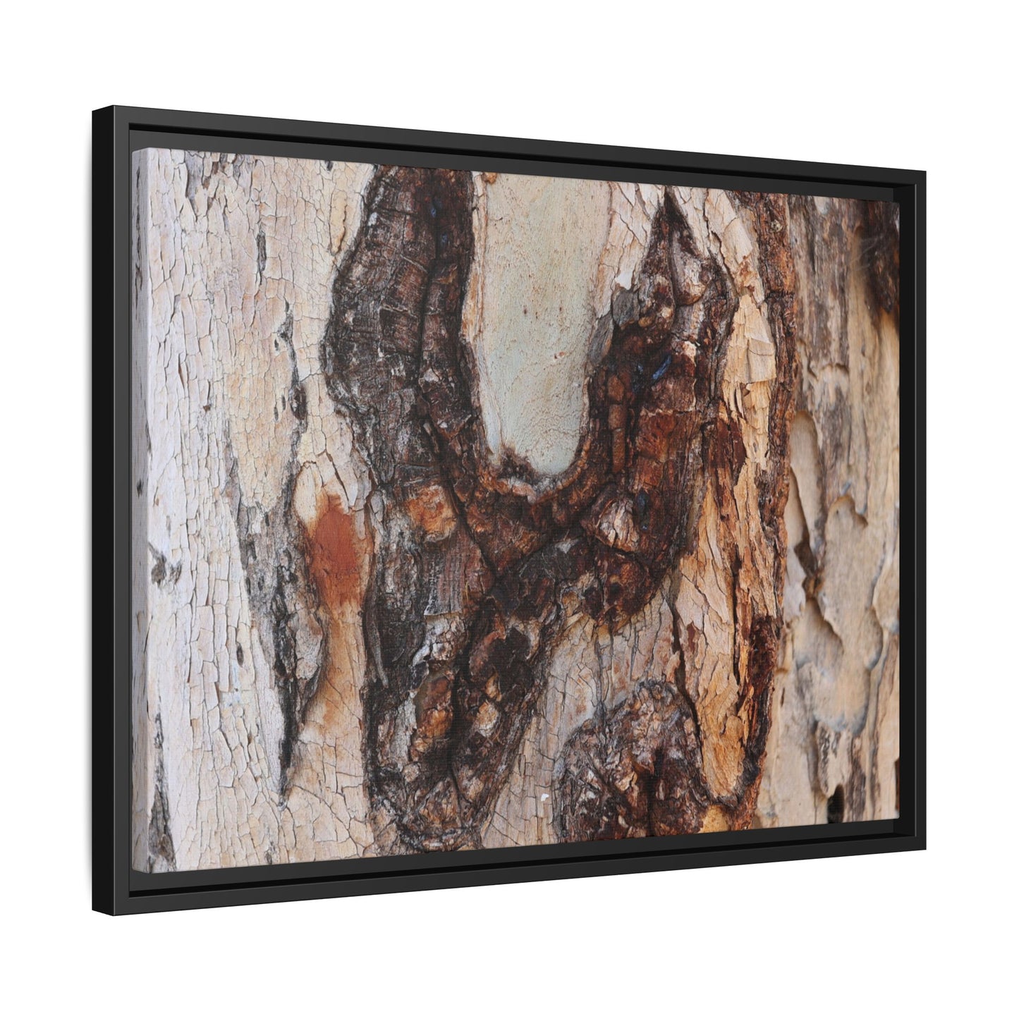 Texture of Time - Unique Stretched Canvas Wall Art - Art By Earth