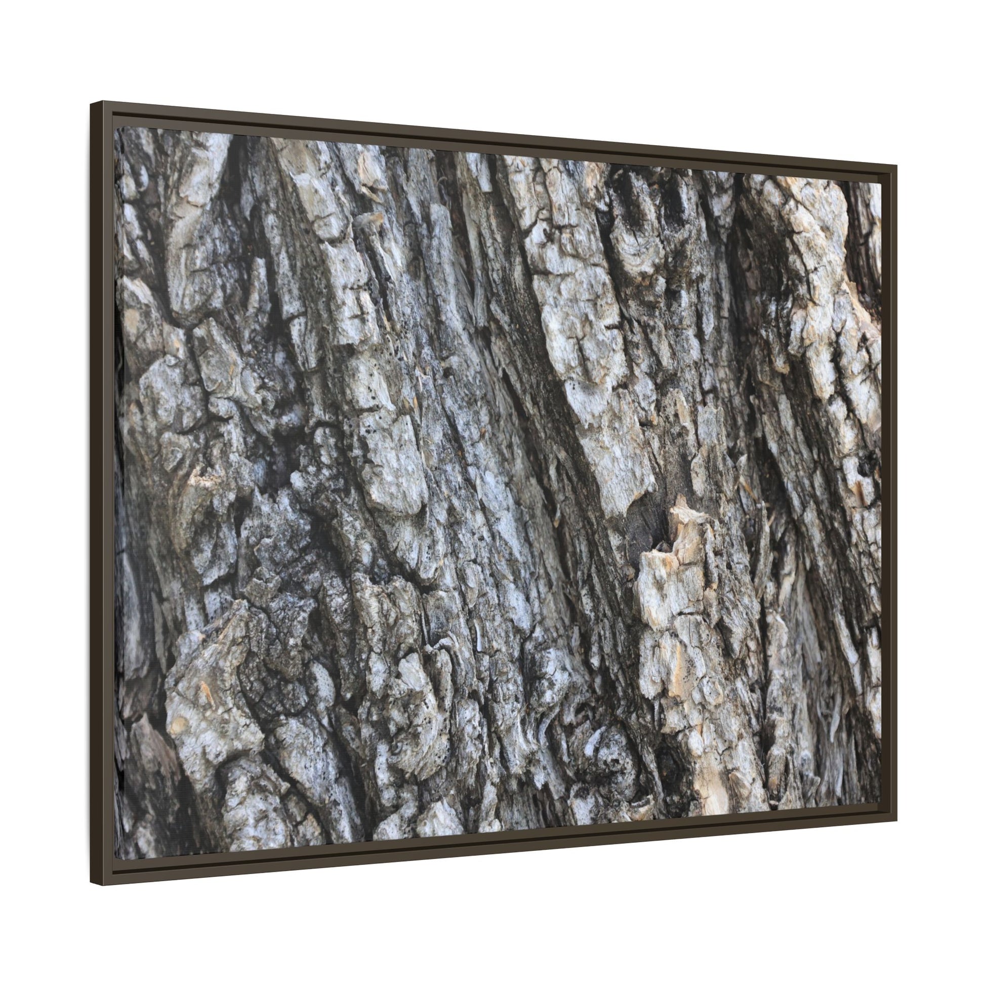 Twisted Textures - Unique Stretched Canvas Wall Art - Art By Earth