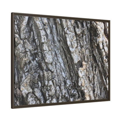 Twisted Textures - Unique Stretched Canvas Wall Art - Art By Earth