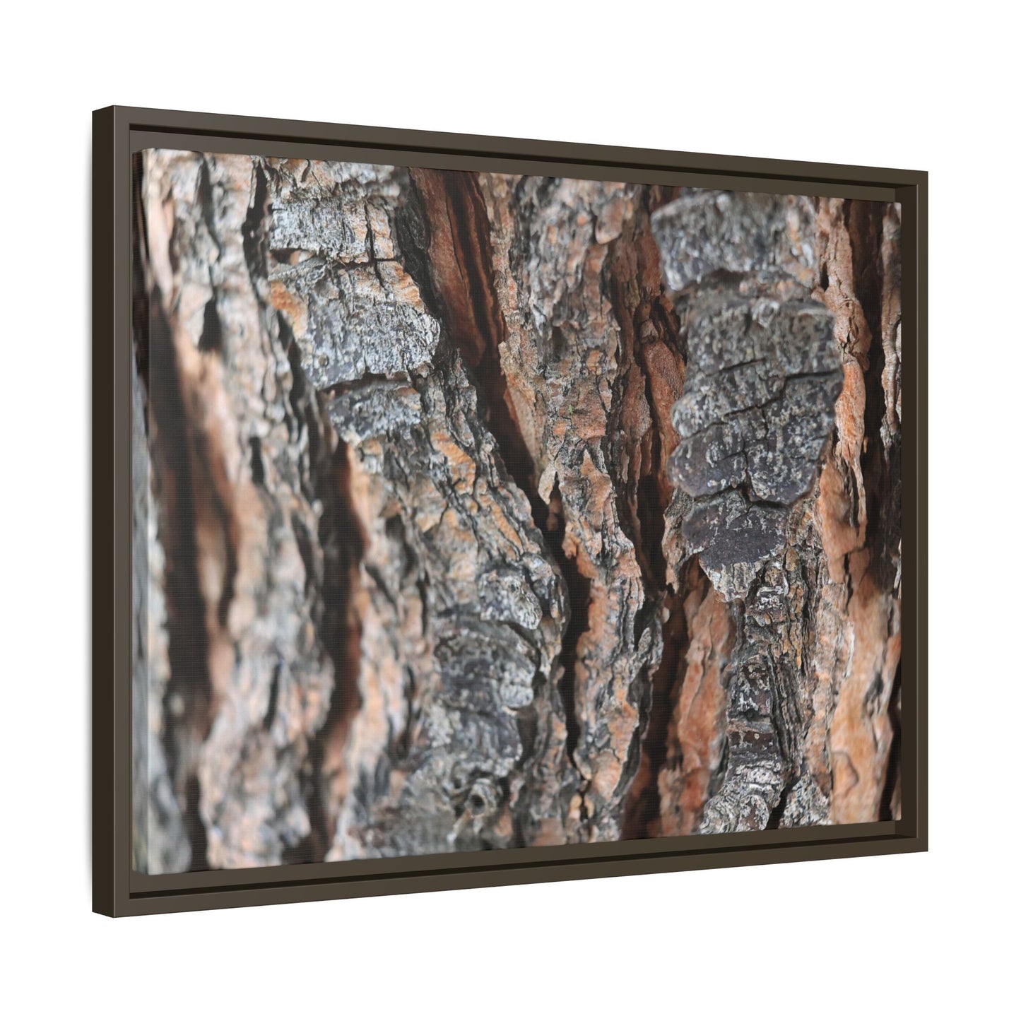 Fractured Nature - Unique Stretched Canvas Wall Art - Art By Earth