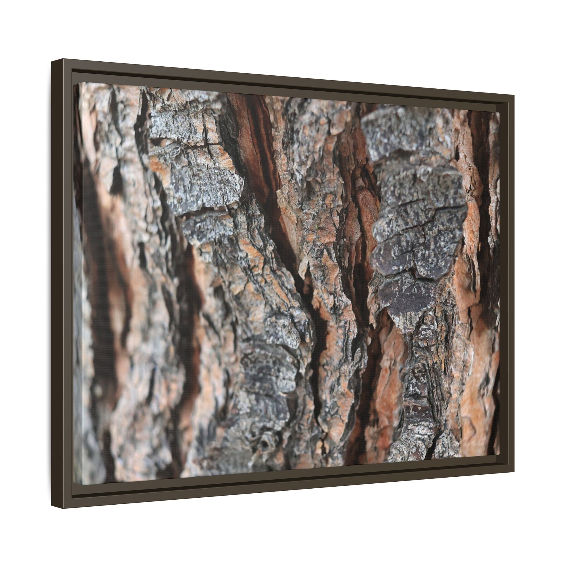 Fractured Nature - Unique Stretched Canvas Wall Art - Art By Earth