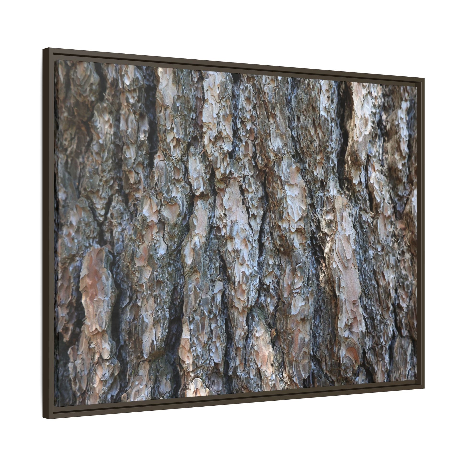 Bark Whispers - Unique Stretched Canvas Wall Art - Art By Earth